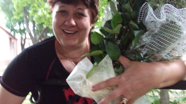 Наталья Курникова