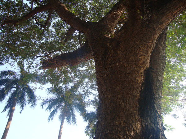 Равиль Бакиров