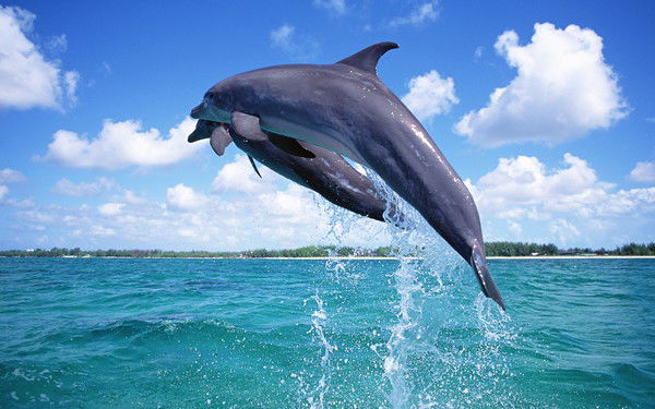 Юлия Седельникова