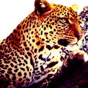*$*tamerlan*$* Kz