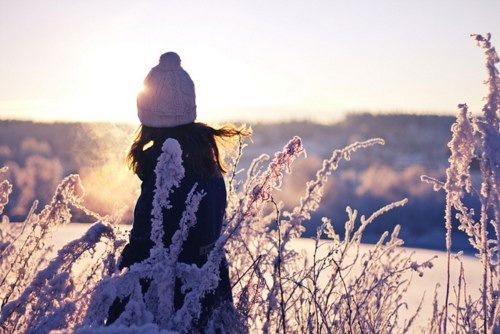 Елена Елисеева