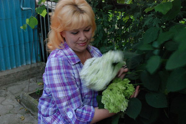 Елена Калиниченко