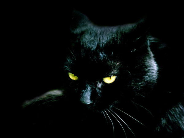 Лена Скороходова