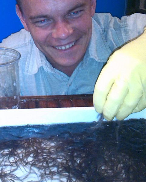 Дмитрий Ковалевский