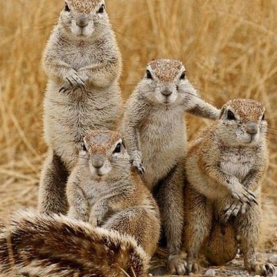 Ирина Блинова