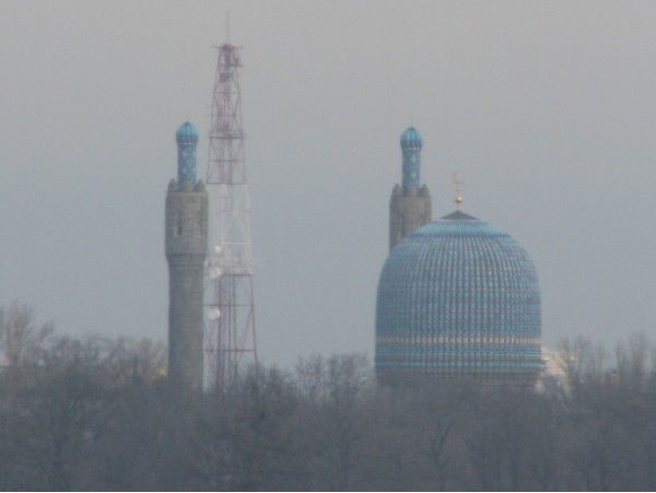 Наргиза Шoназарова