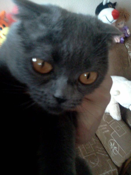 Екатерина Петухова