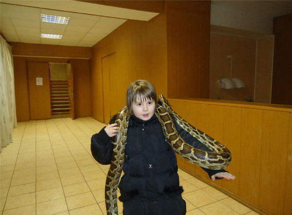 Анжелика Романова