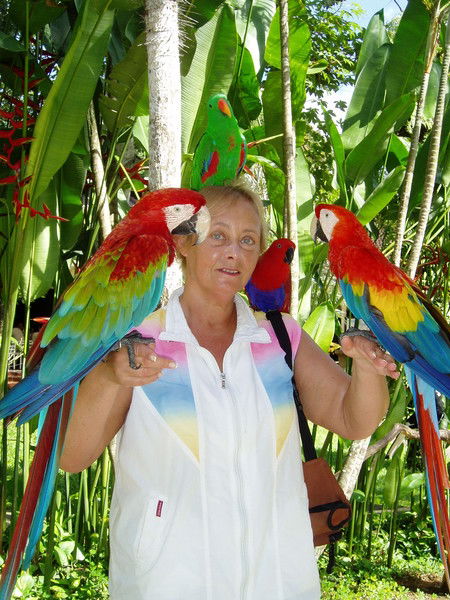 Елена Тарасова