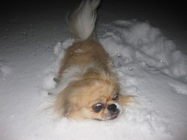 Анна Тарасова