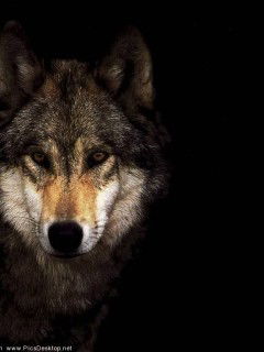 Хачик Хлгатян