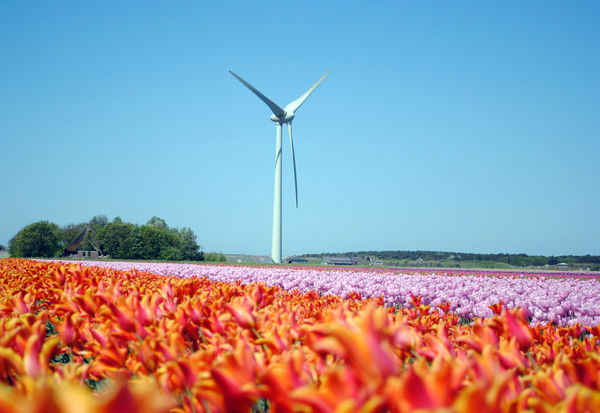 Даурен Даурен