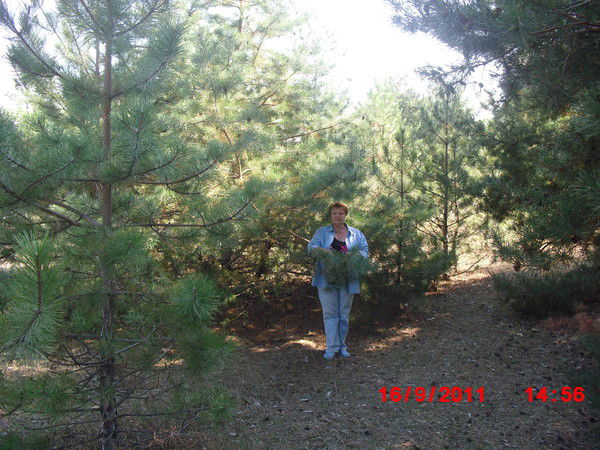 Людмила Демко