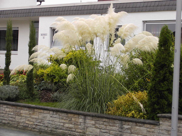 Александр Волков