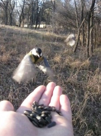 Мой Дом Россия