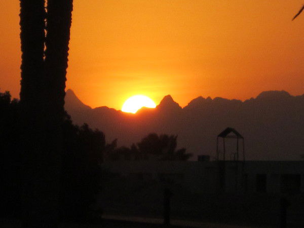 Светлана Рогель