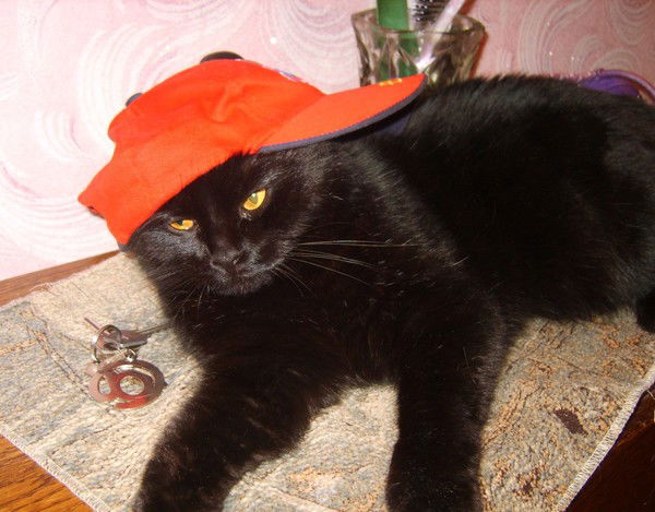 Евгения Мельниченко