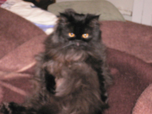 Алексей Юрьевич