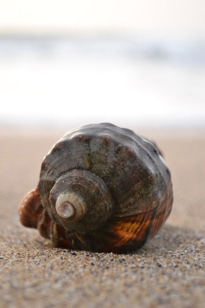 Серж Назаренко