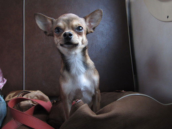 Евгения Полякова