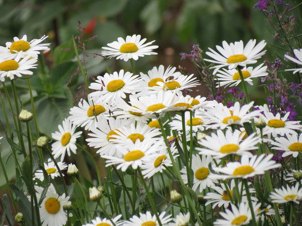 Светлана Северодвинск