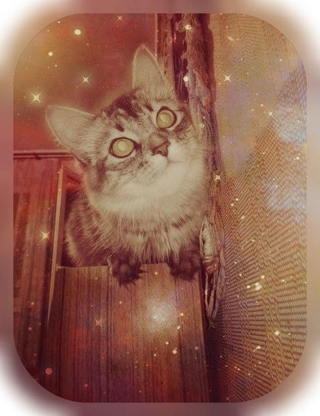 Валерия Корсак