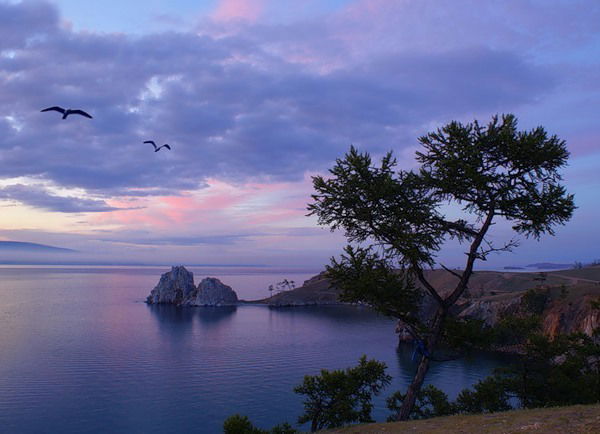 Сагаан Даля