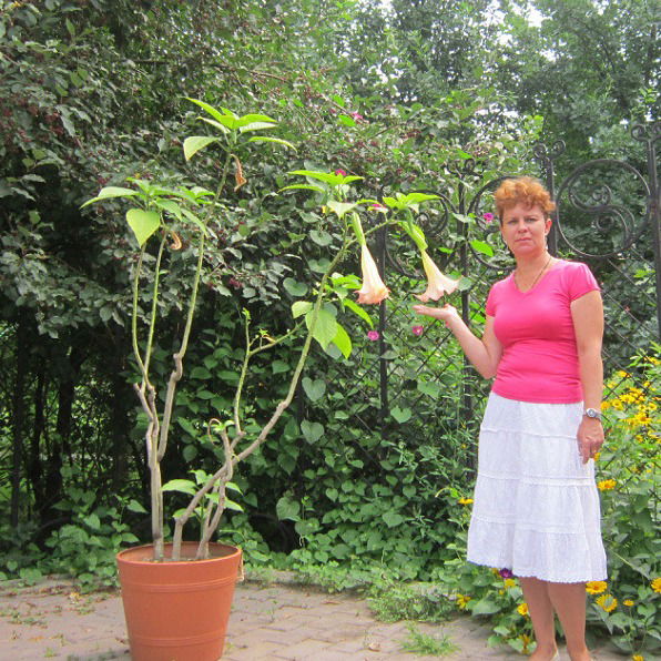 Светлана Кочеткова