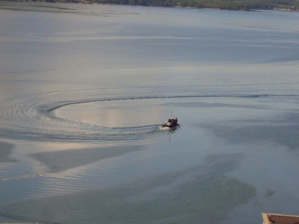 Евгения Волощук