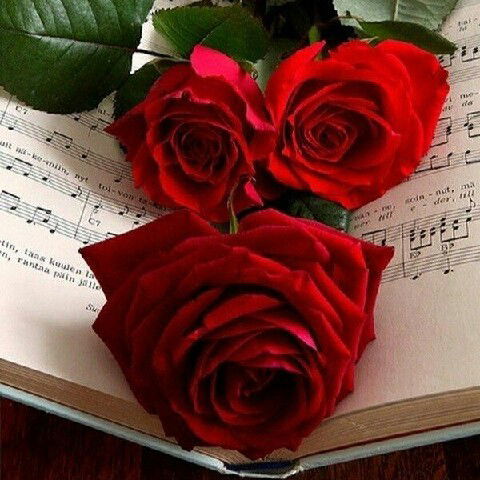 Ольга Конькова