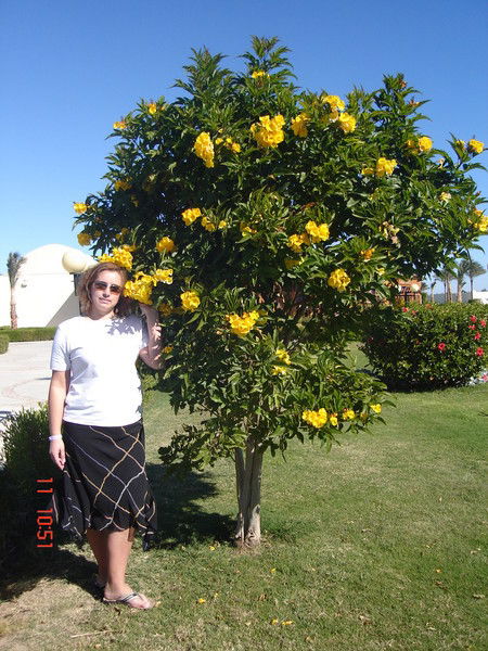 Оксана Воськало