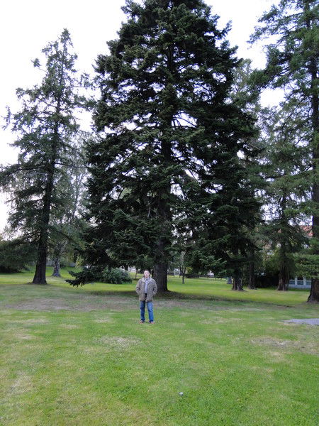 Эдуард Виляев