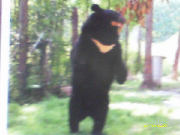 Сладкий Монстр