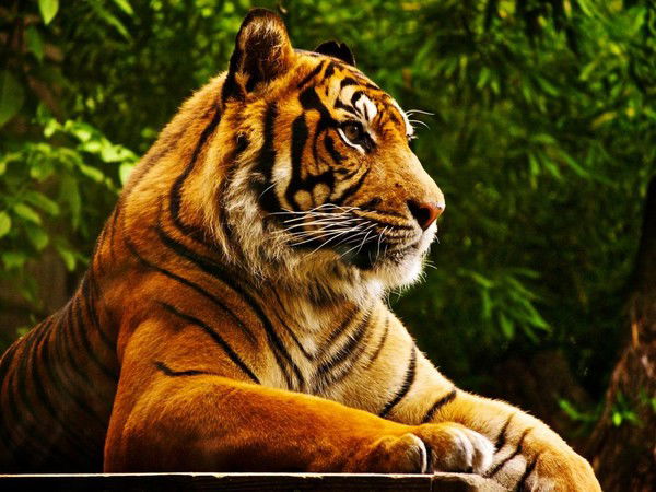 Лилия Ахметсафина