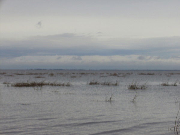 Джавваль Вахид Инкари