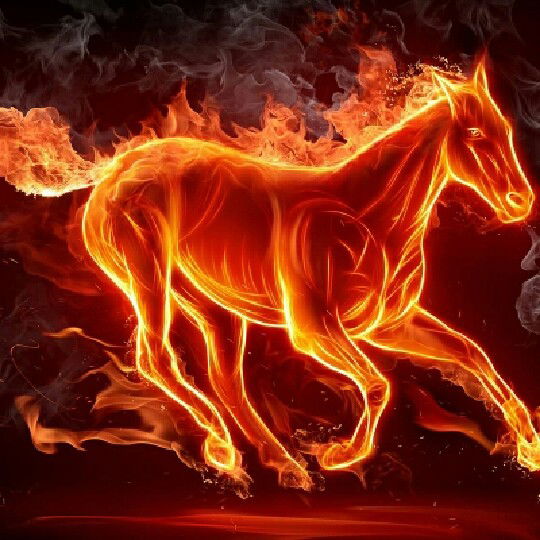 Борис Кравцов