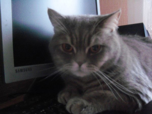 Ольга Холоимова