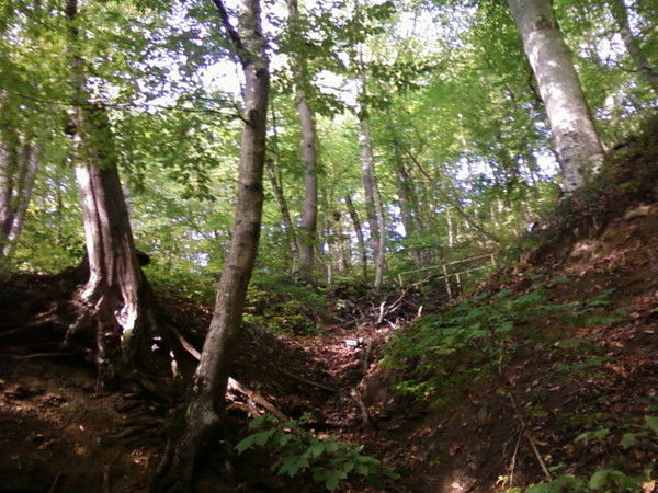 Татьяна Юрьева