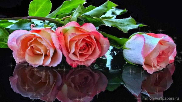 Валентина Подгорная