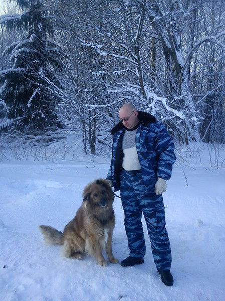 Александр Зелинский