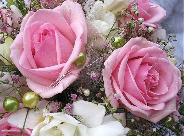 Светлана Яковец