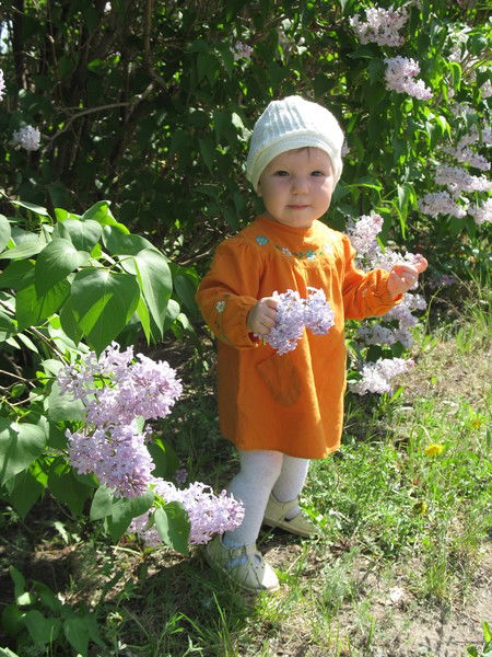 Анюта Кауфман