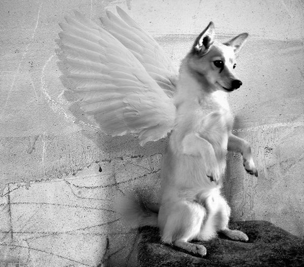 Анастасия Степанова