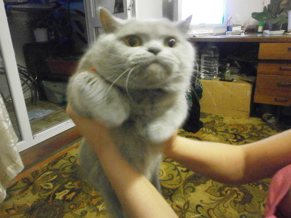 Egtrghjrsdyk Gfbhumi