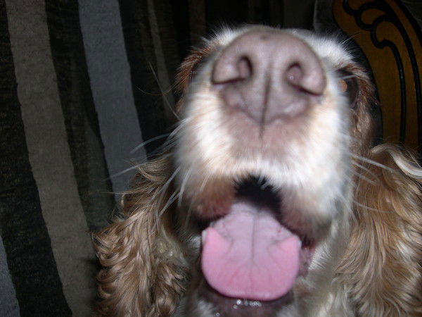 Андрей Егоров