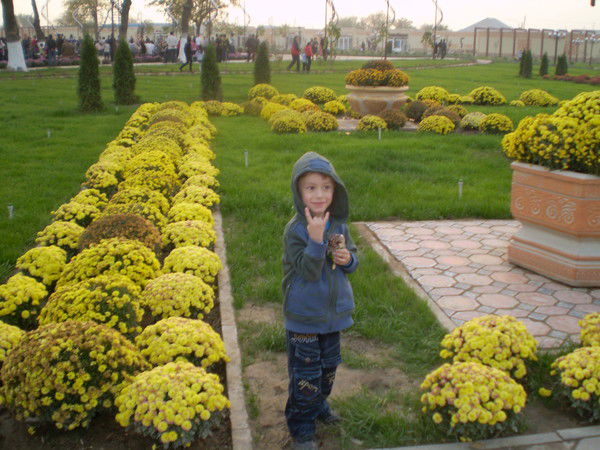 Артур Грачев