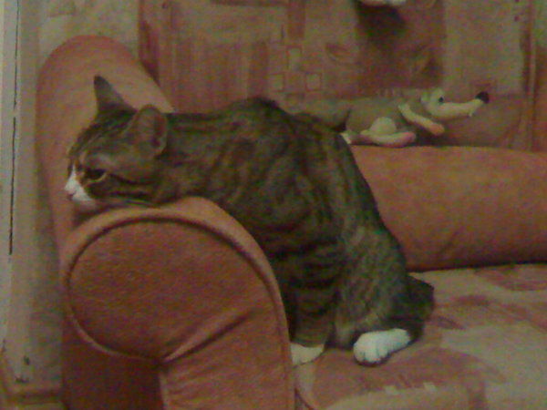 Владимир Зиновьев