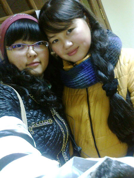 Несибели Арын