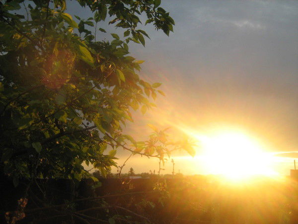 Наталья Рямова