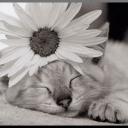 Лилия Приходько